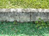 image of grave number 206820